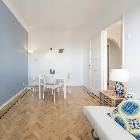 Vista Espetacular Baixa E Rio *